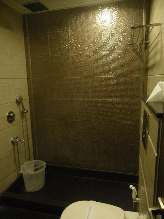 Hotel Metro Continental 델리 객실 사진